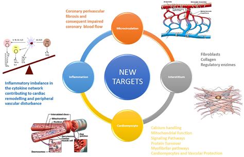 Innovative therapeutic targets in cardio.